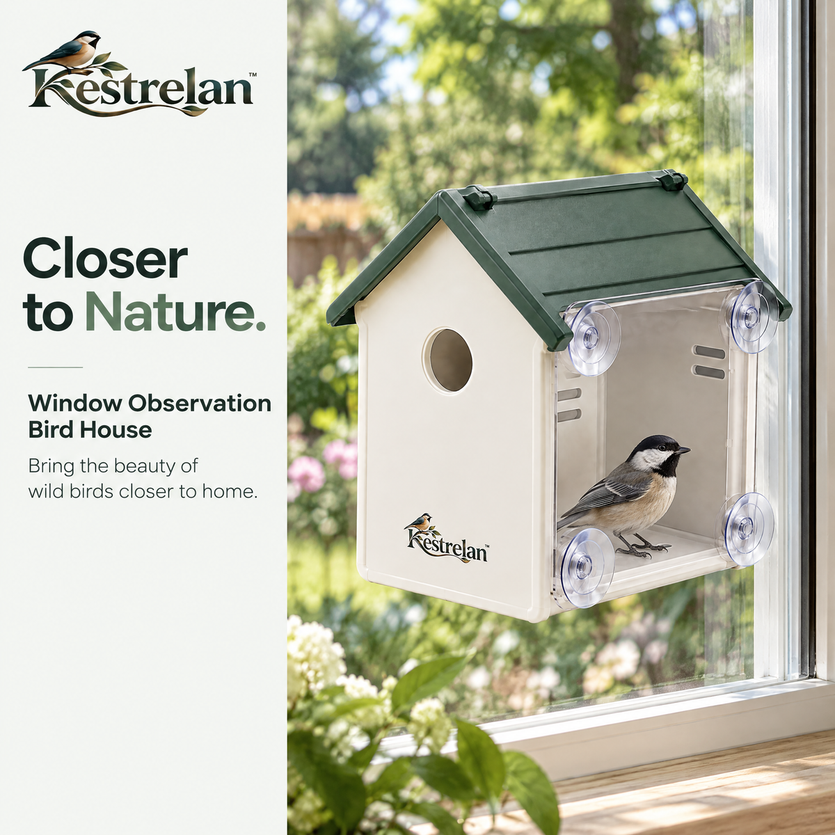 Kestrelan™ NestView Window Observation Birdhouse – Clear-Back Nesting Box for Up-Close Home Bird Watching