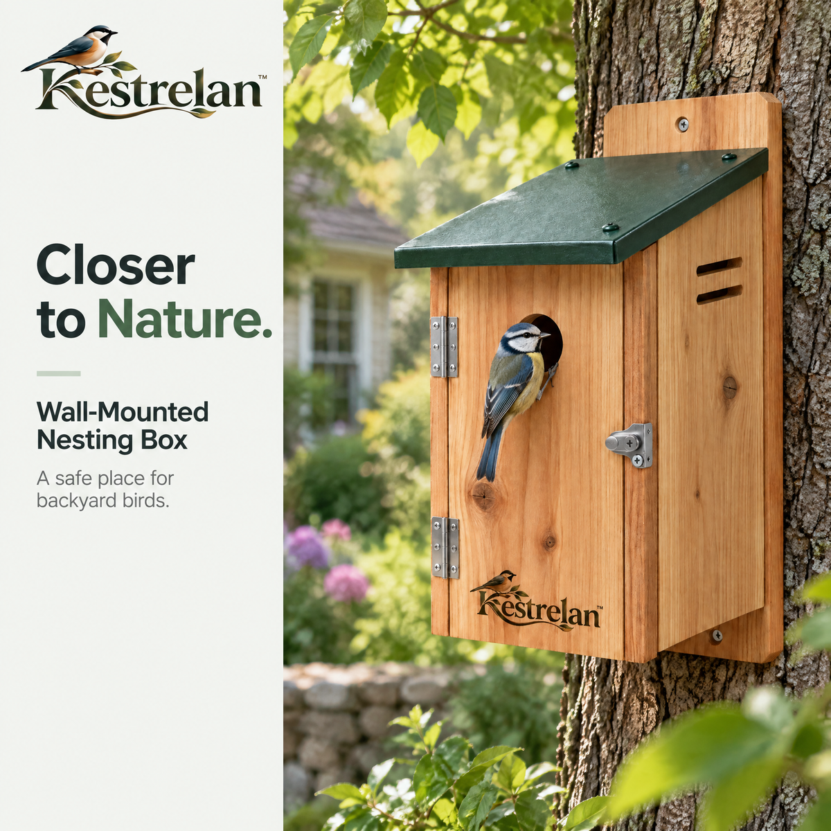 Kestrelan™ WallNest Wall-Mounted Nesting Box – Outdoor Wooden Bird Shelter for Garden Walls, Fences & Backyard Wildlife Spaces